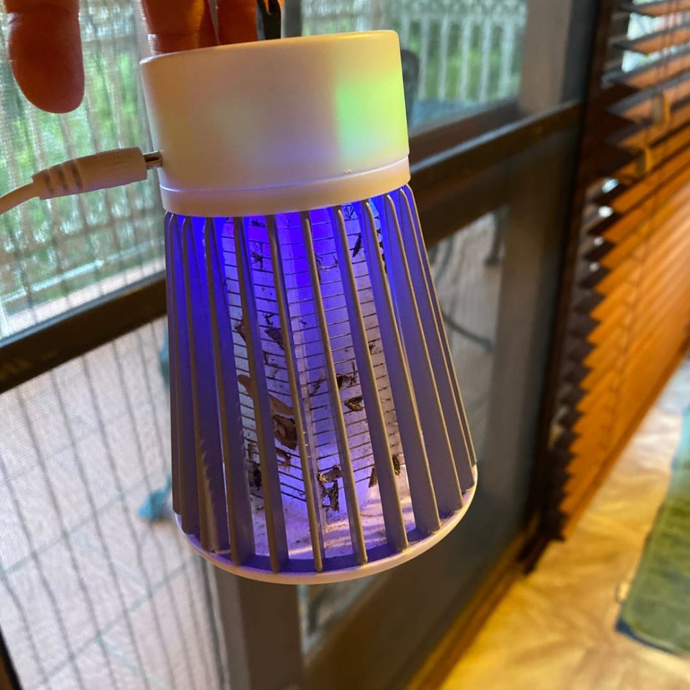 Compact bug zapper for travel and holidays