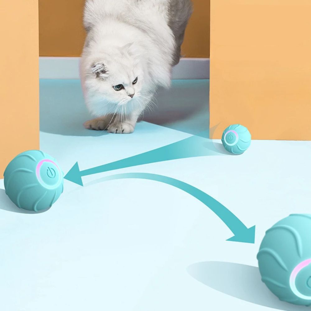 Rolling and spinning cat ball for daily stimulation

