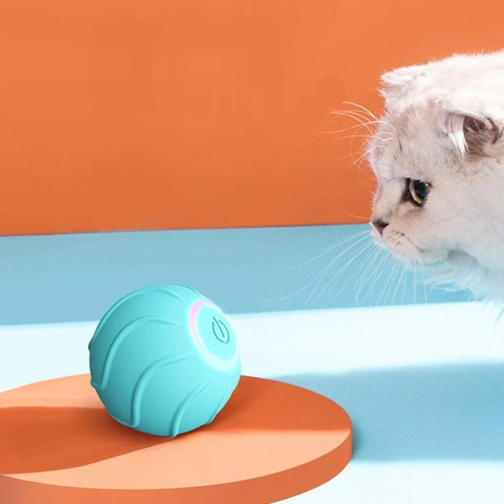 USB-powered cat toy for hours of interactive play

