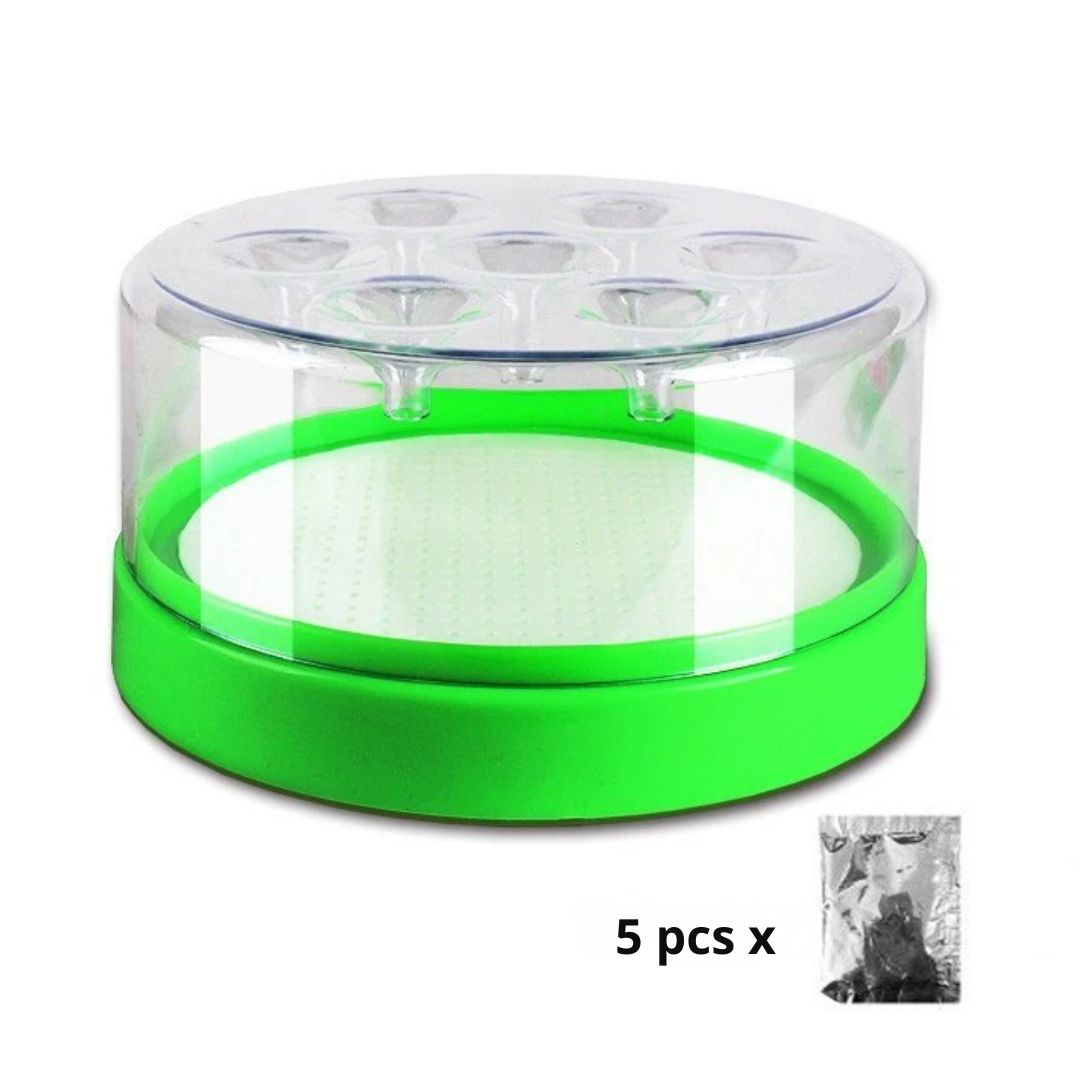 ProCatch fly trap for home placed discreetly near fruit bowl in kitchen