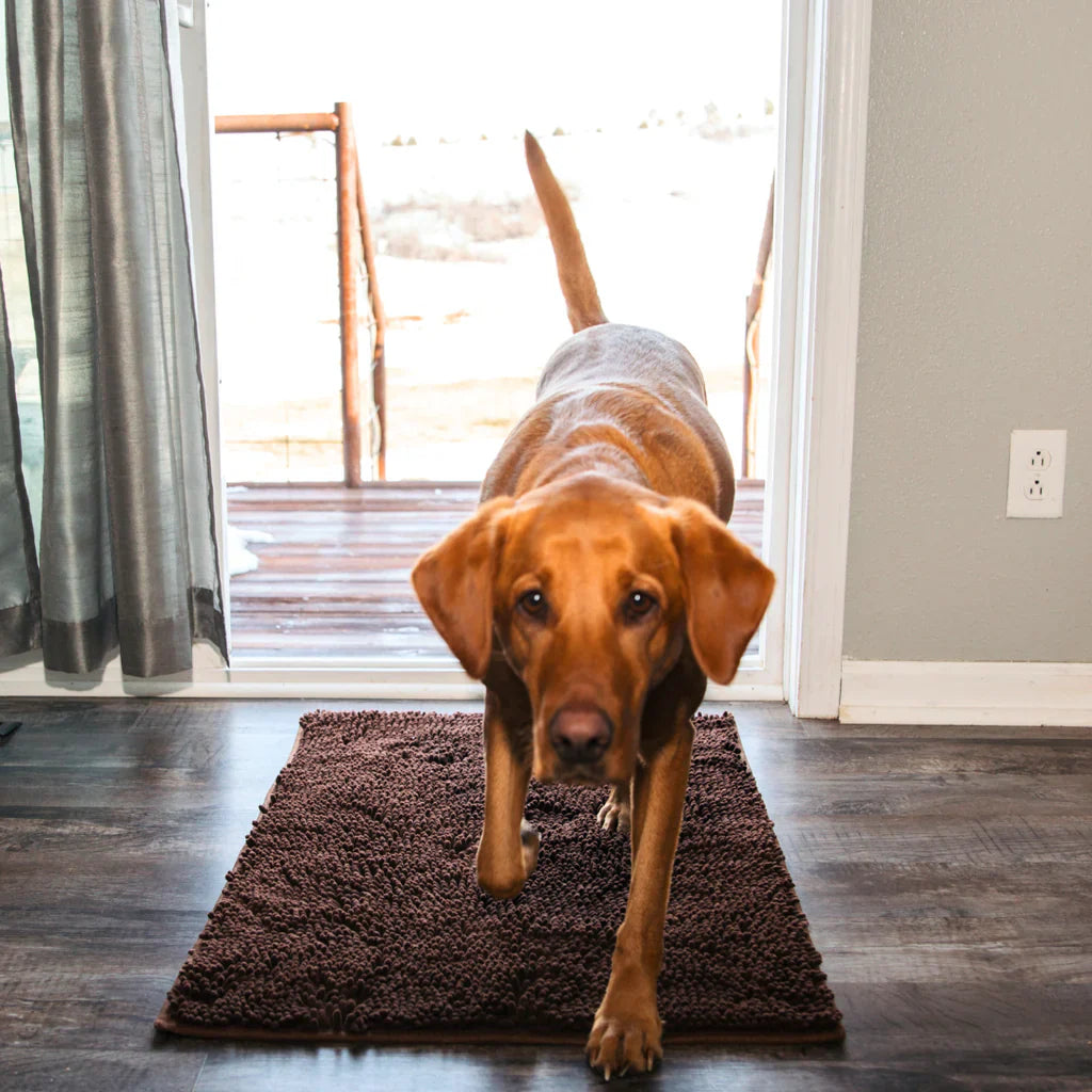 CleanPaws microfiber mat used to dry dog paws after a walk

